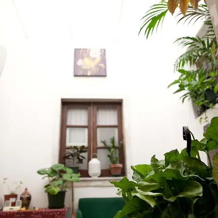 Apartman Alcala Living Deluxe